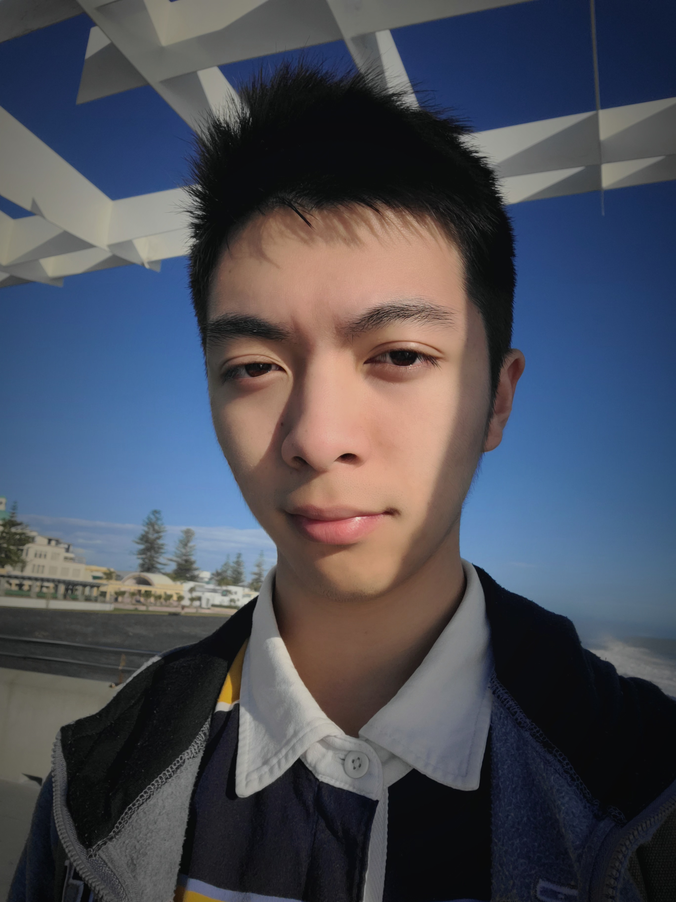 Zihong Liang